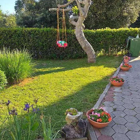 Apartment Chiara Petrcane